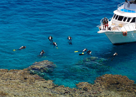 Sharm el Sheikh: Reef Oasis Beach Resort (Sharm El Sheikh)